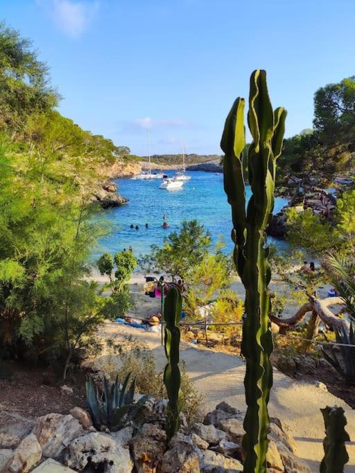 Tranquilo Apartamento Con Vistas Al Mar. Port de Alcudia  Eksteriør billede